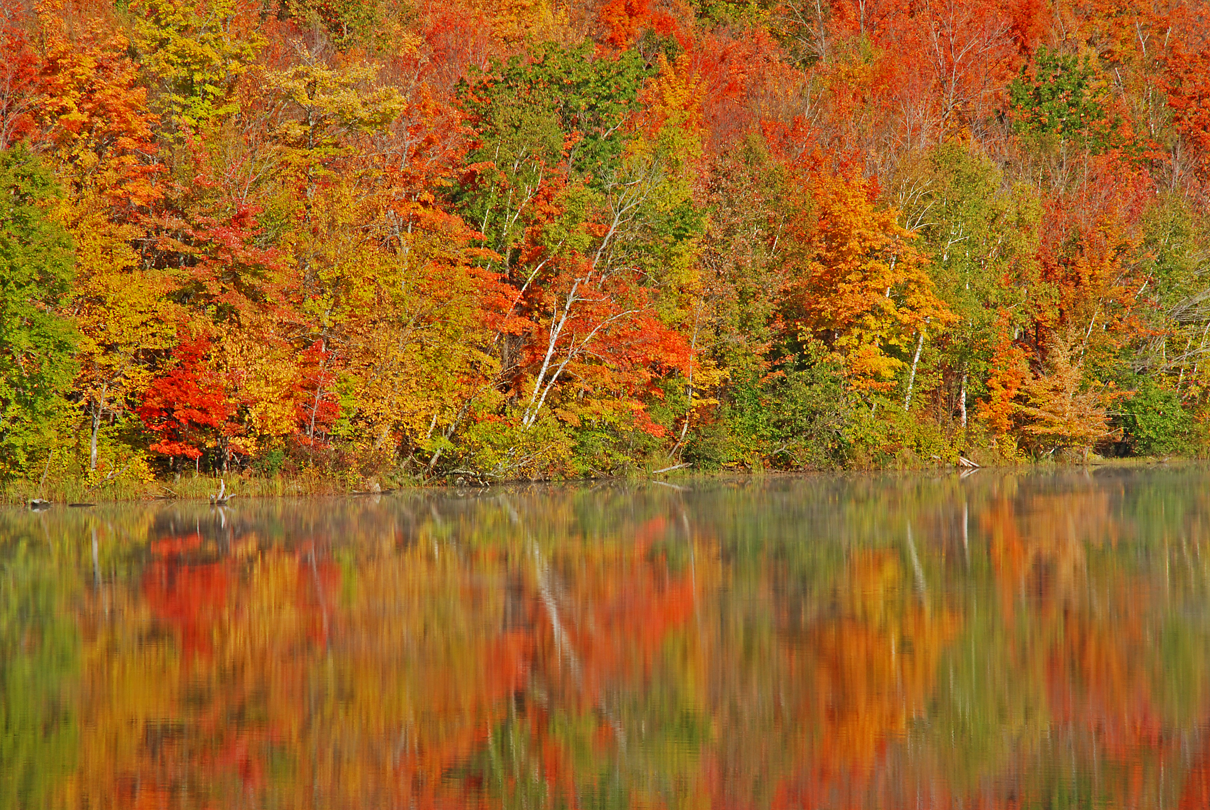 Wisconsin Fall Colors