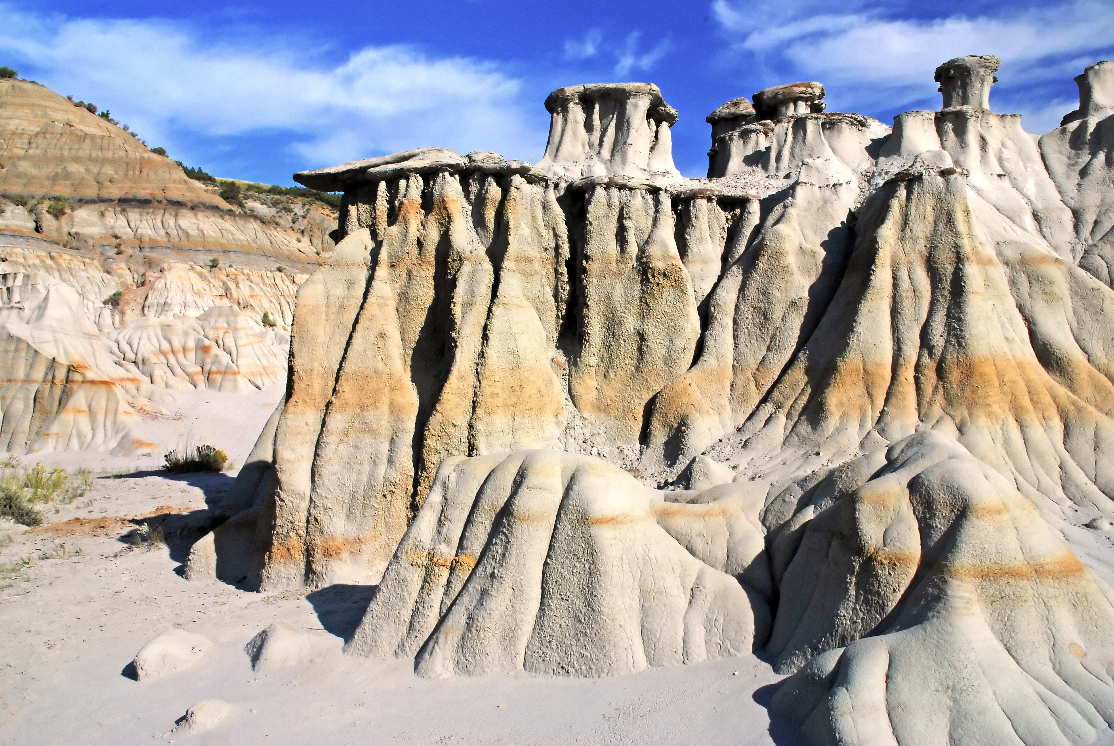 Theodore Roosevelt National Park