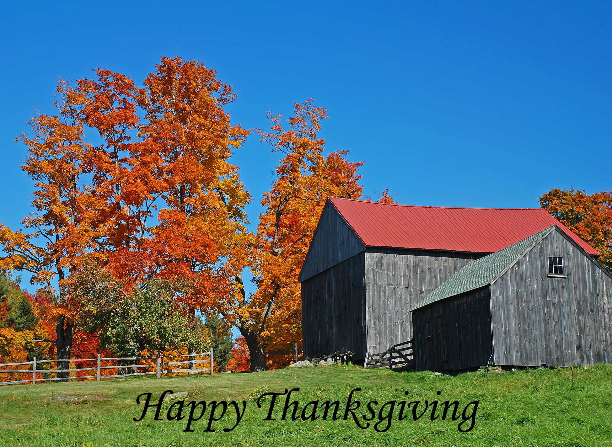 Barn and Maples