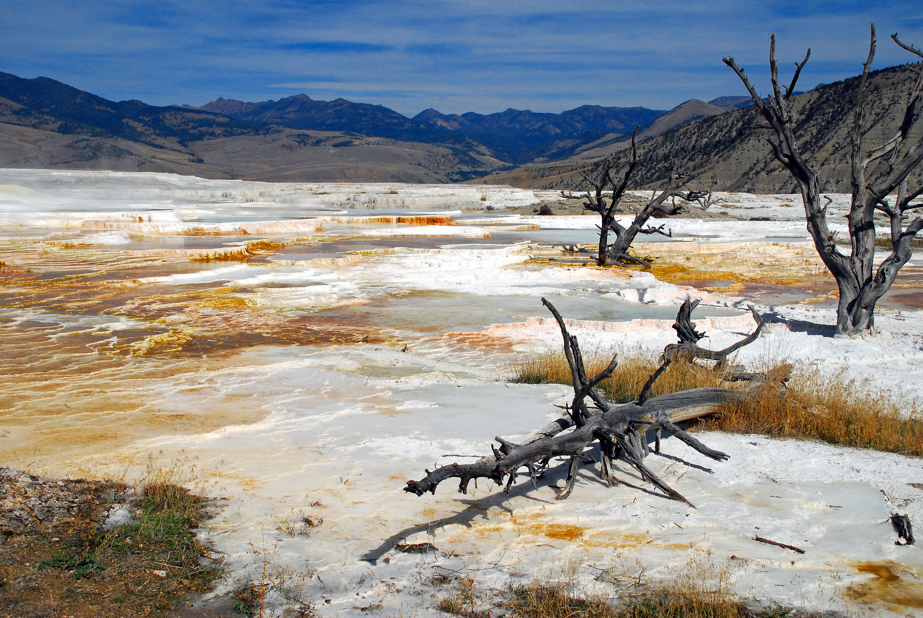 Yellowstone National Park