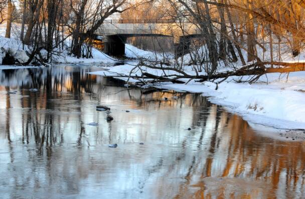 Dobbins Creek - Minnesota