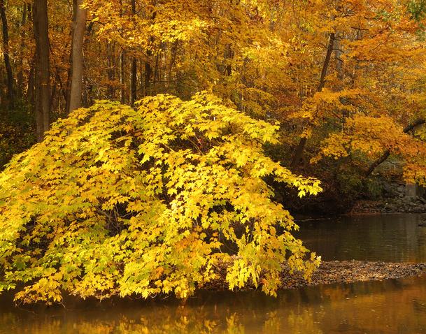 Wisconsin Autumn