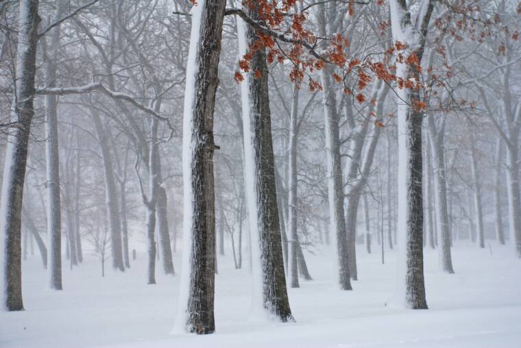 February Blizzard