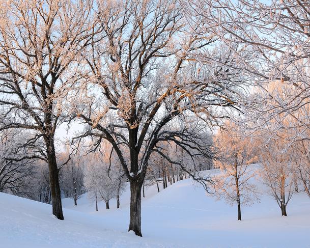 Winter Sunrise
