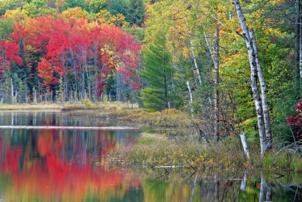 Council Lake - Upper Michigan