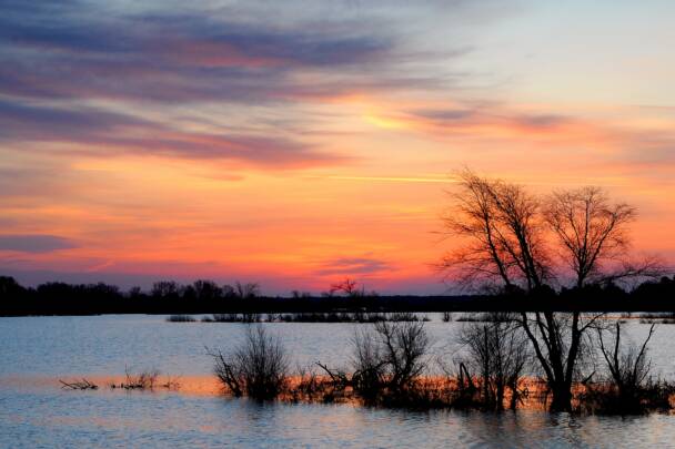 Necedah National Wildlife Refuge
