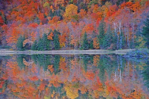 Reflection on Lime Pond