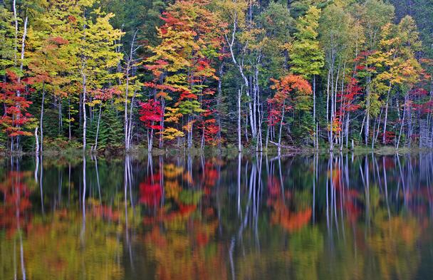 Michigan UP Fall Photos