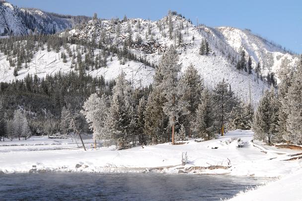 Yellowstone National Park