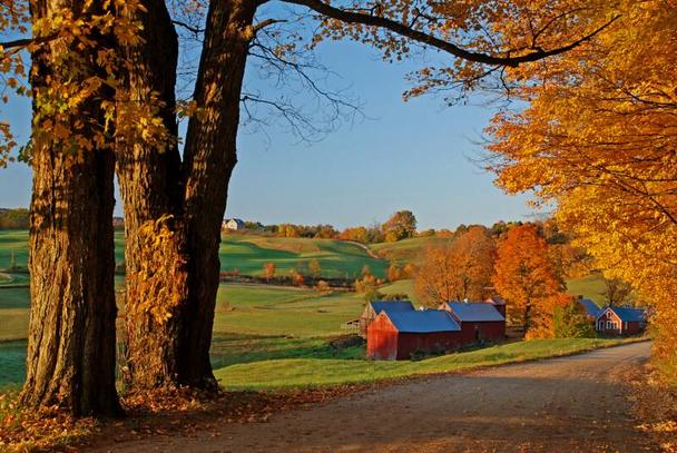 New England Fall Photos