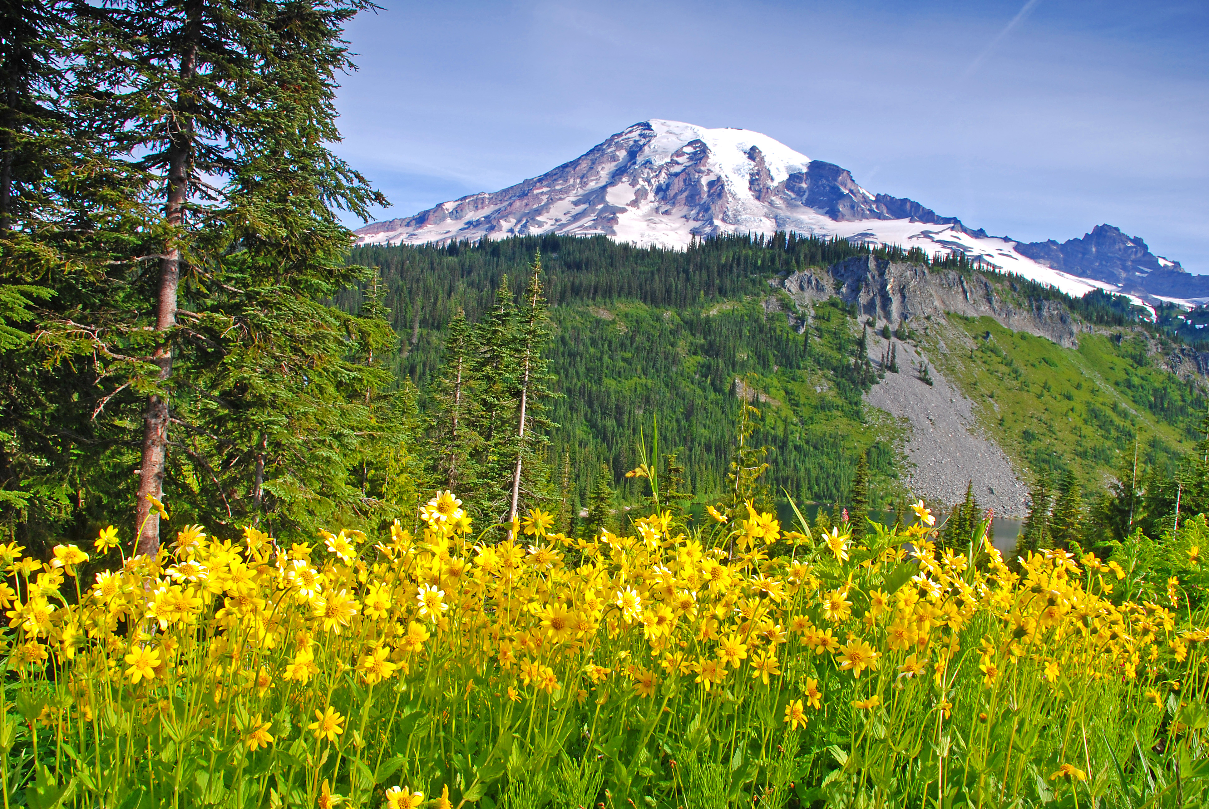 Mount Rainier National Park