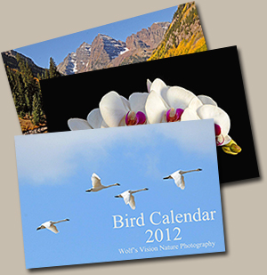 Nature and Scenery Calendars