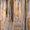 Abstract - Pictured Rocks National Lakeshore