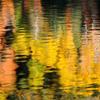 Fall Tree Reflections - Bear Lake - Rocky Mountain National Park