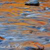 Reflections On The Swift River