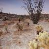 Sunrise at Anza Borrego