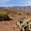 Anza Borrego Desert State Park