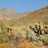 Anza Borrego Desert State Park