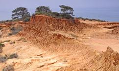 Torrey Pines State Reserve