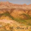 Yellow Mounds In The Morning