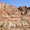 Cedar Pass Area