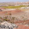 Conata Basin