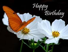 Grand Teton National Park