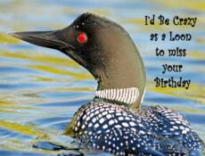 Loon