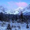 First Light on Wilcox Pass - Jasper NP