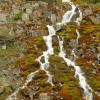 Mossy Waterfall - Banff NP