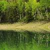 Pond Reflections - Kootenay NP