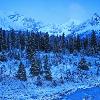 Fresh Snow on Wilcox Pass - Jasper NP