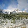 Wilcox Pass Snowfall - Jasper NP