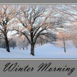 New Ulm, MN