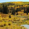 Beaver Pond - Gunnison National Forest