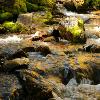 Maroon Bells Cascades