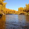 Gunnison River