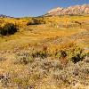 Expansive View on Ohio Pass Road