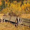 Wagon at Ashcroft Ghost Town