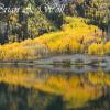 Mountainside Reflections