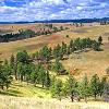 Custer State Park - Landscape