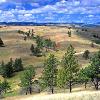 Landscape along Wildlife Loop - Custer State Park
