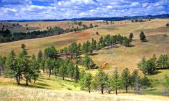 Custer State Park