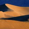 Dune Shadows