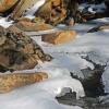 Cold Stream - GSMNP