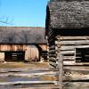 Barns on Tipton Farmstead - Cades Cove