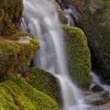 Mossy Waterfall