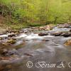 River Rapids