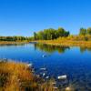 River by Schwabacker Landing