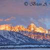 Winter Sunrise On The Tetons